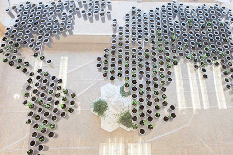 Garden of Virtual Kinship 2