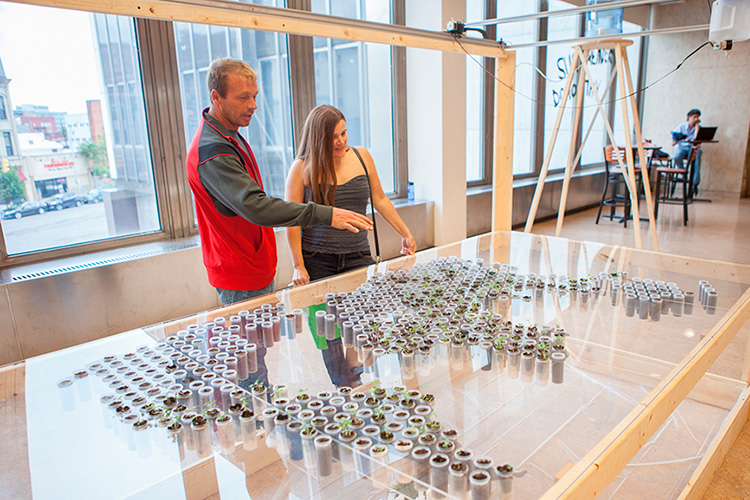 Garden of Virtual Kinship 3